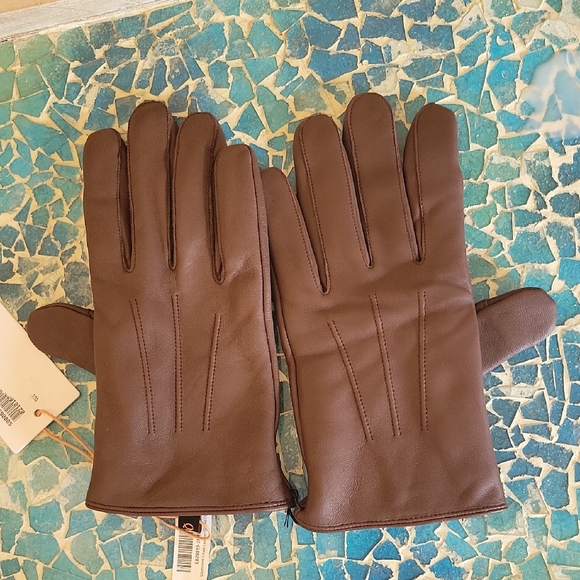 Quince Lamb Leather Cashmere Lined Gloves In Choclate - Picture 2 of 13